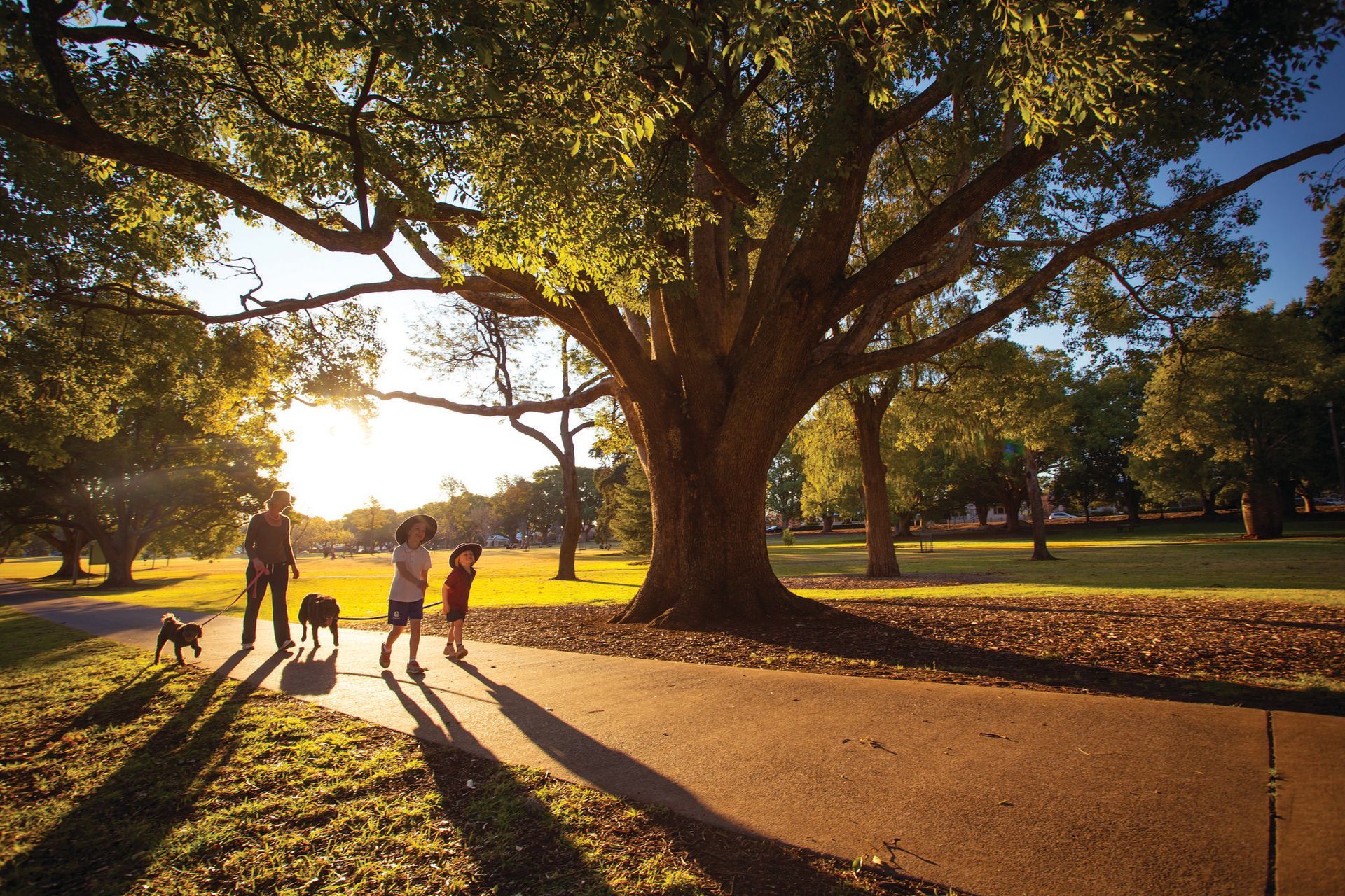 A family walking a dog in a park at sunset