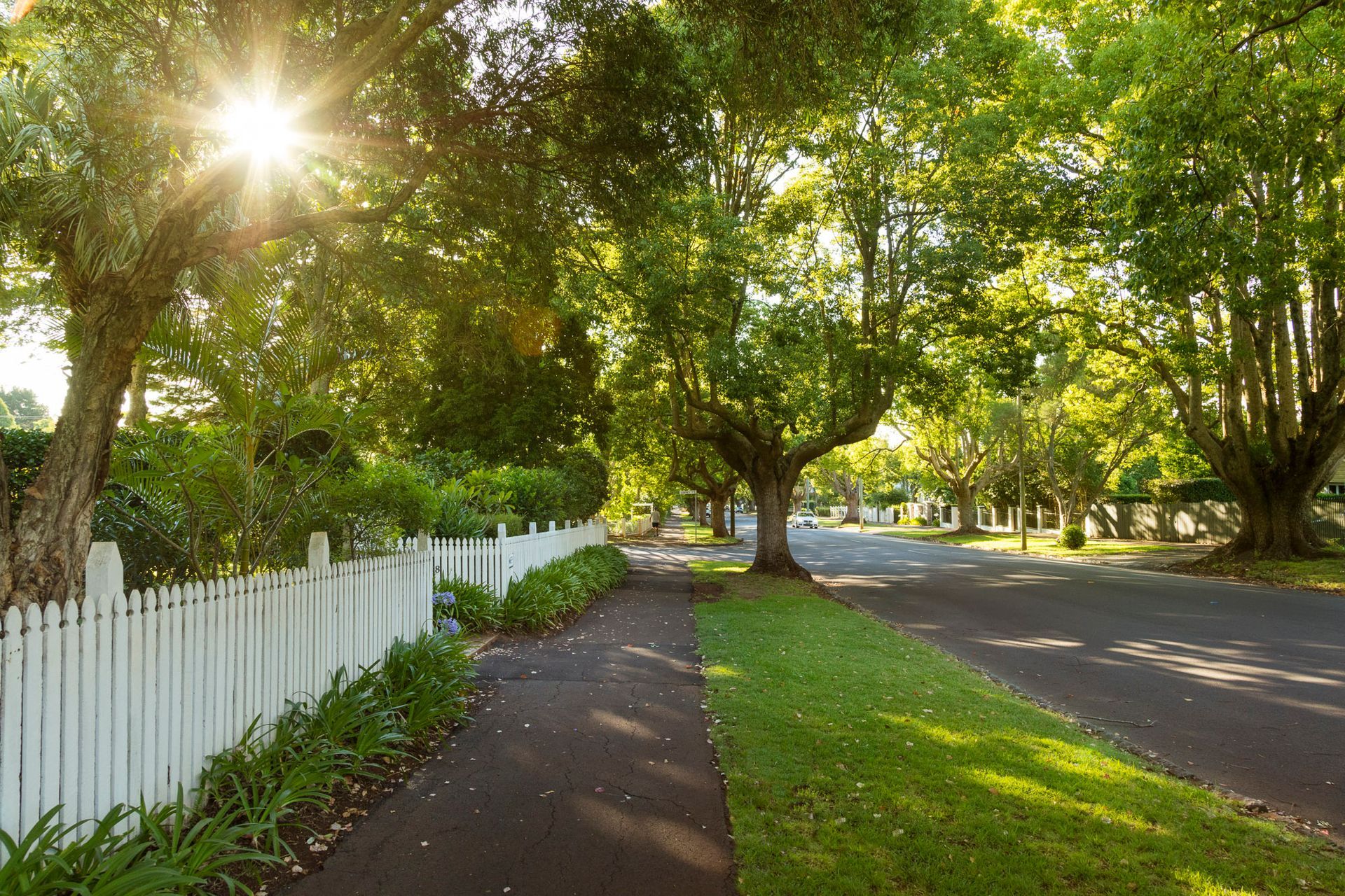 The sun is shining through the trees on a residential street with a white picket fence.