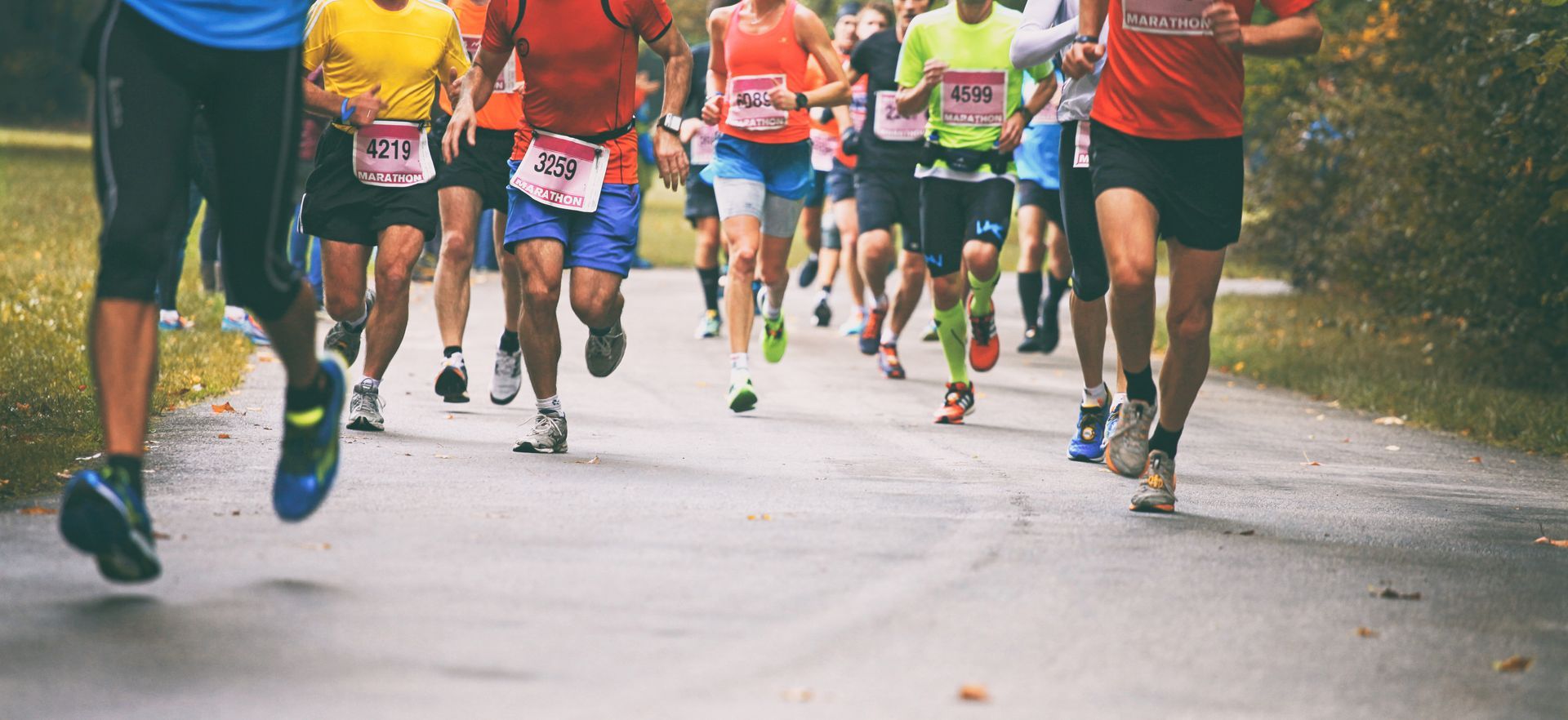 A group of people are running a marathon on a road.