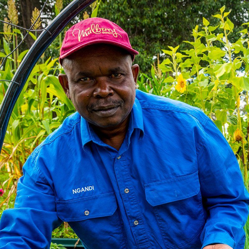 A man wearing a blue shirt and a red hat is sitting in a garden.