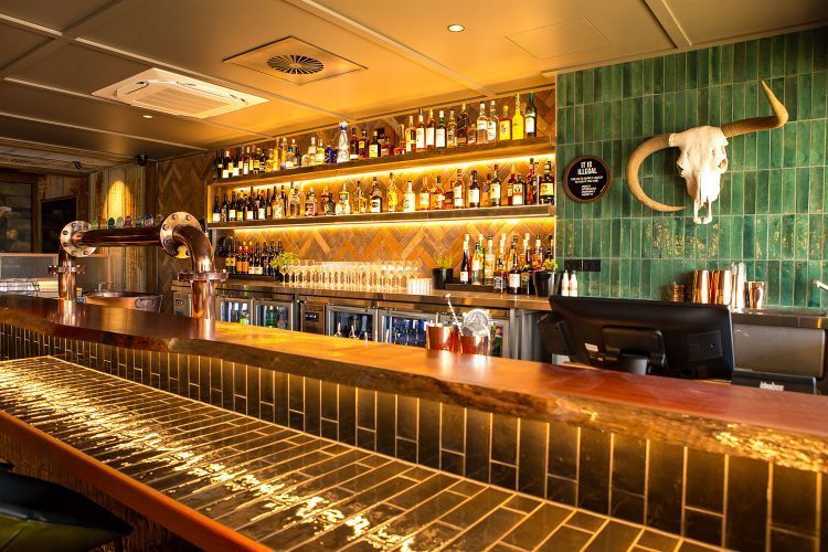 A bar with a lot of bottles on the shelves and a bull skull on the wall.