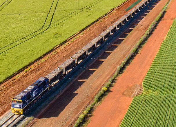 An aerial view of a train traveling through a lush green field.