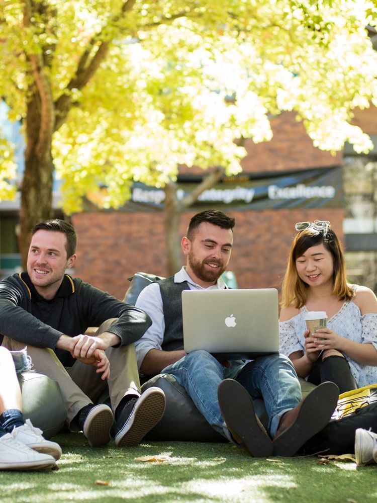 A group of people are sitting on bean bags under a tree with a laptop.