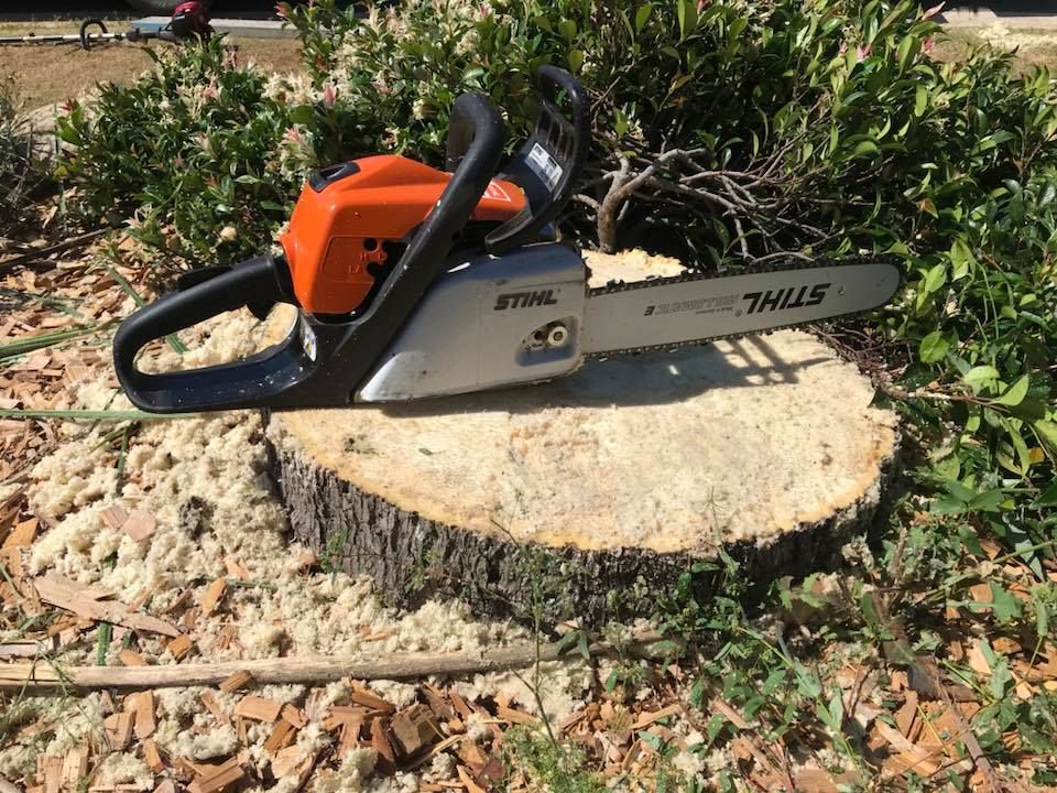 Fallen tree trunk and large stump in a suburban area after tree removal.