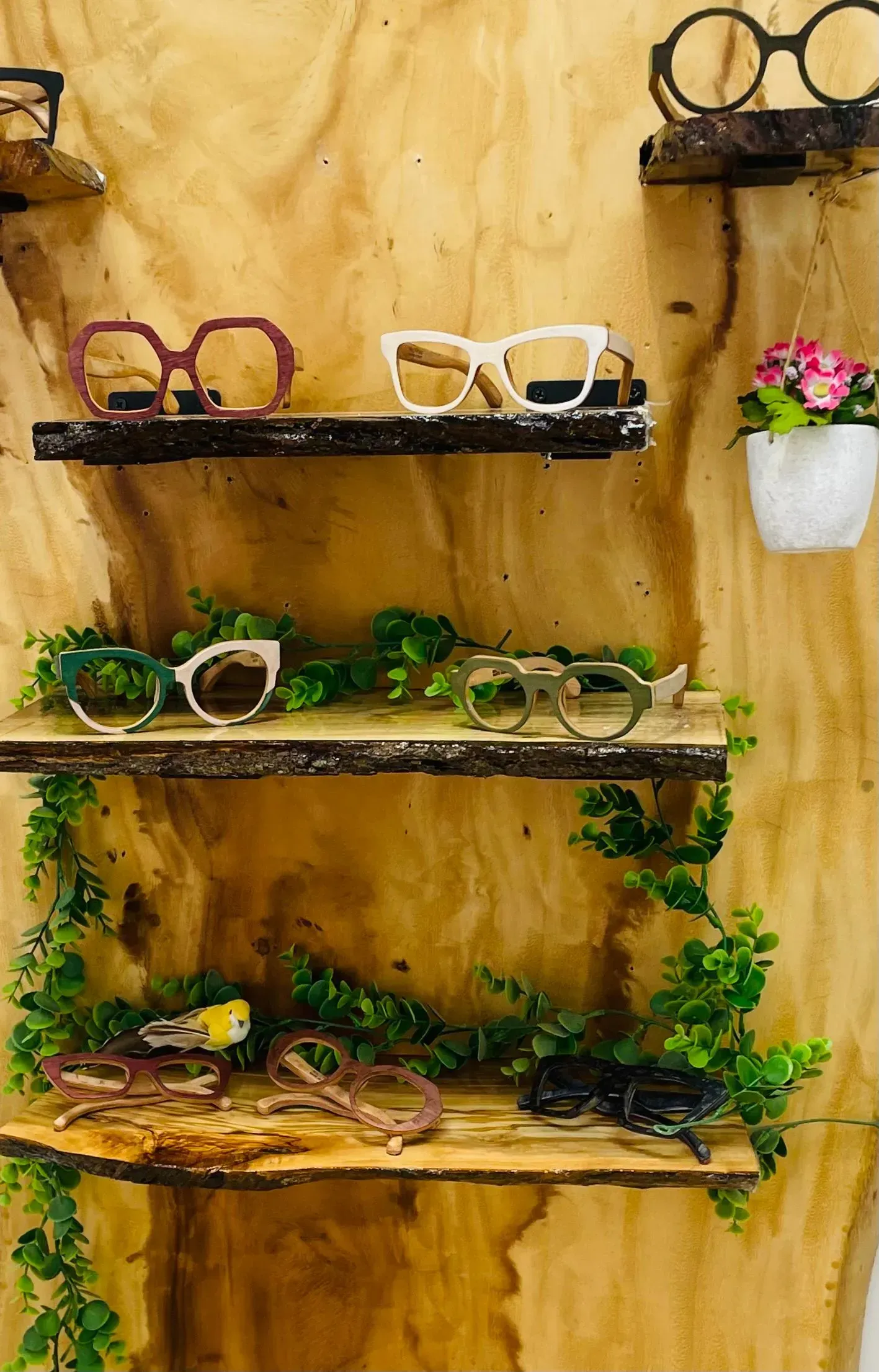 A row of wooden shelves filled with glasses and plants.