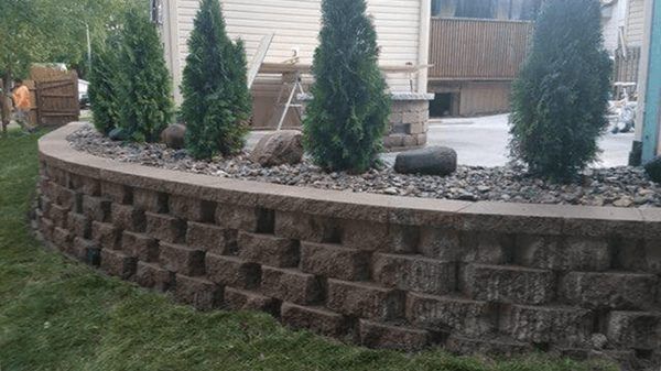 Raised stone garden bed with small evergreen shrubs and white rocks in a backyard