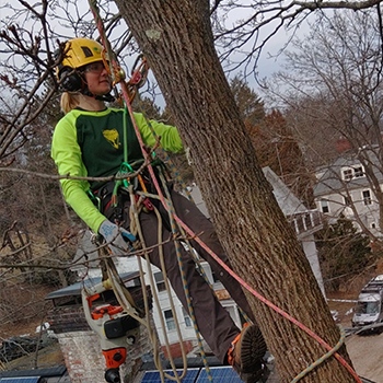 a woman is climbing a tree wearing a helmet and headphones .