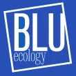 Logo blu: