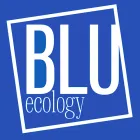 Logo blu: