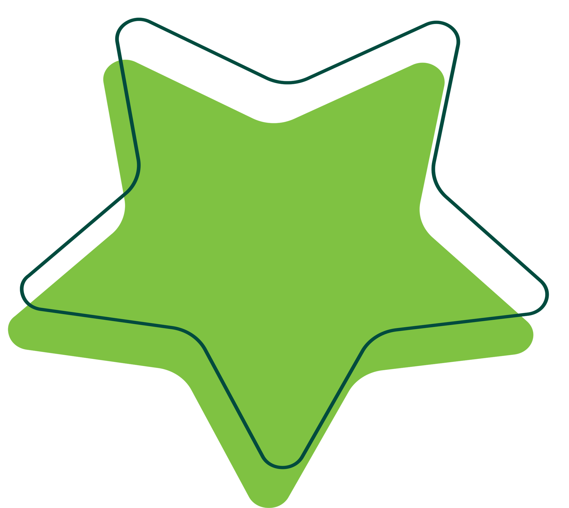 Star icon