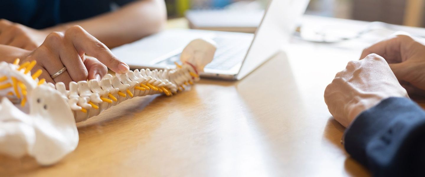 A person is sitting at a table with a model of a spine and a laptop.