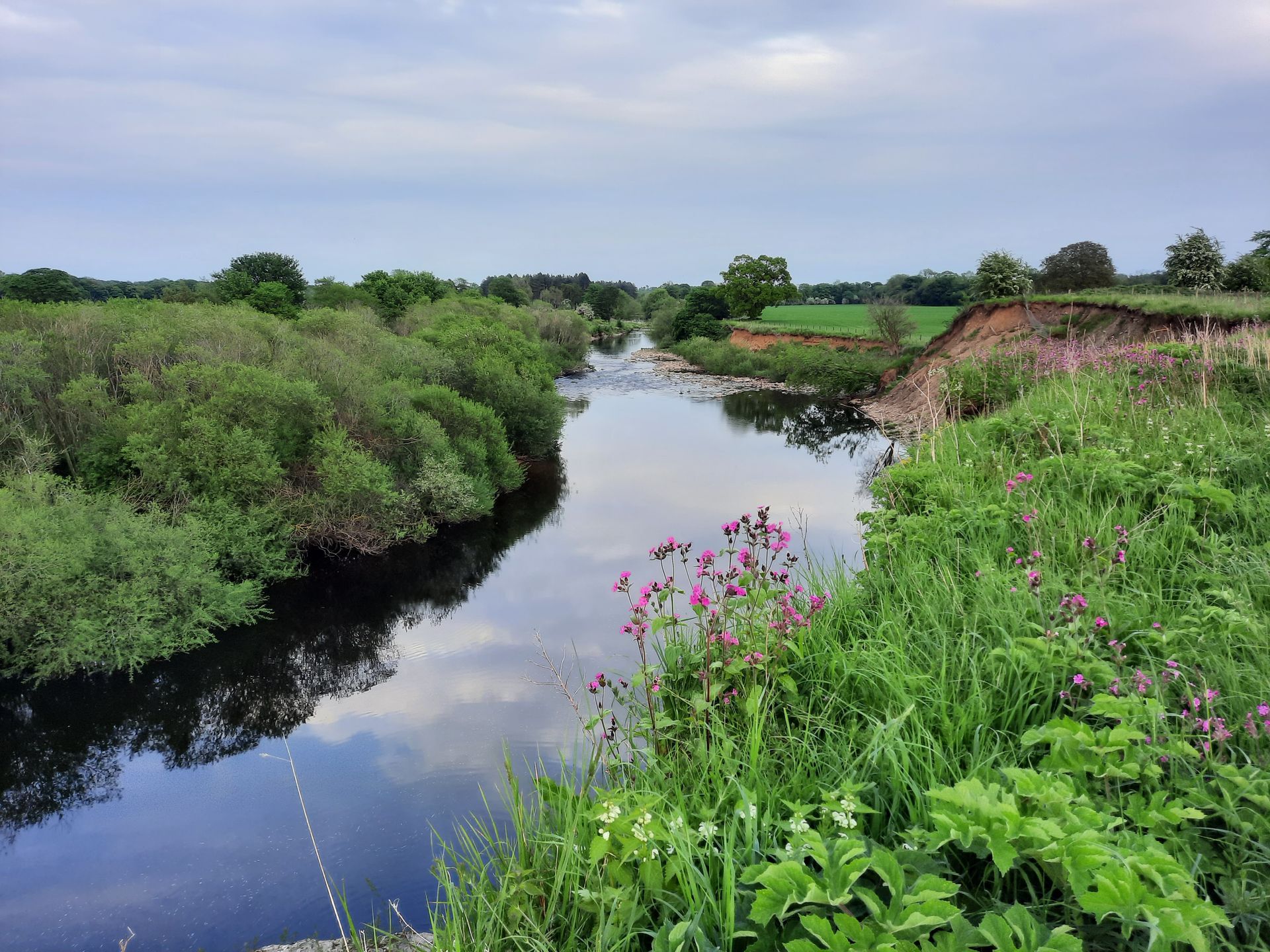 River flowing through lush green vegetation, under a cloudy sky.