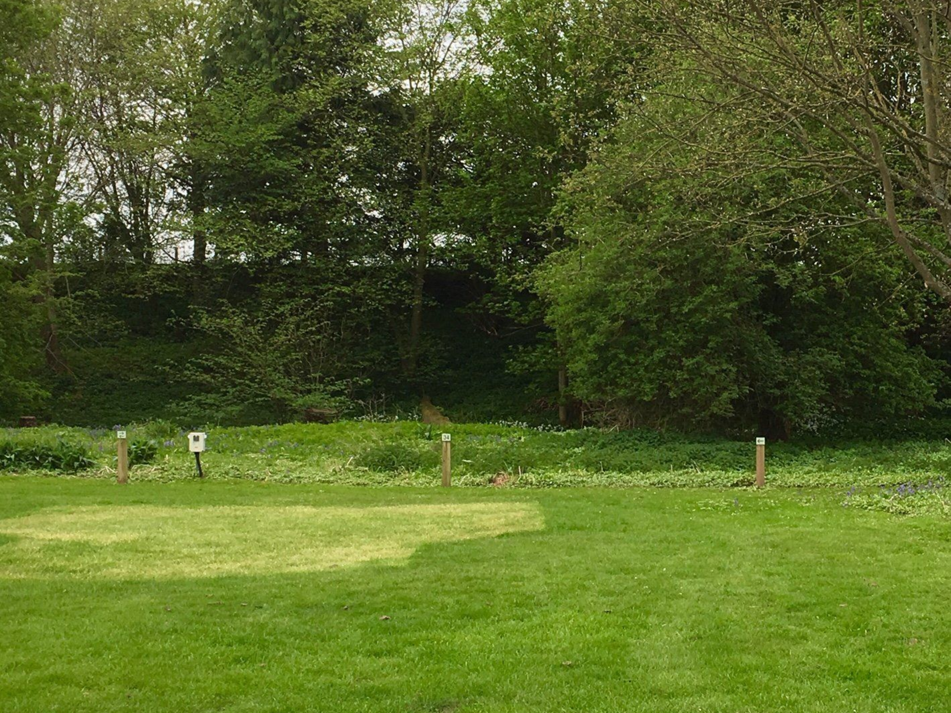 Grassy field with light-green patches, bordered by a green hedge and trees; wooden posts.