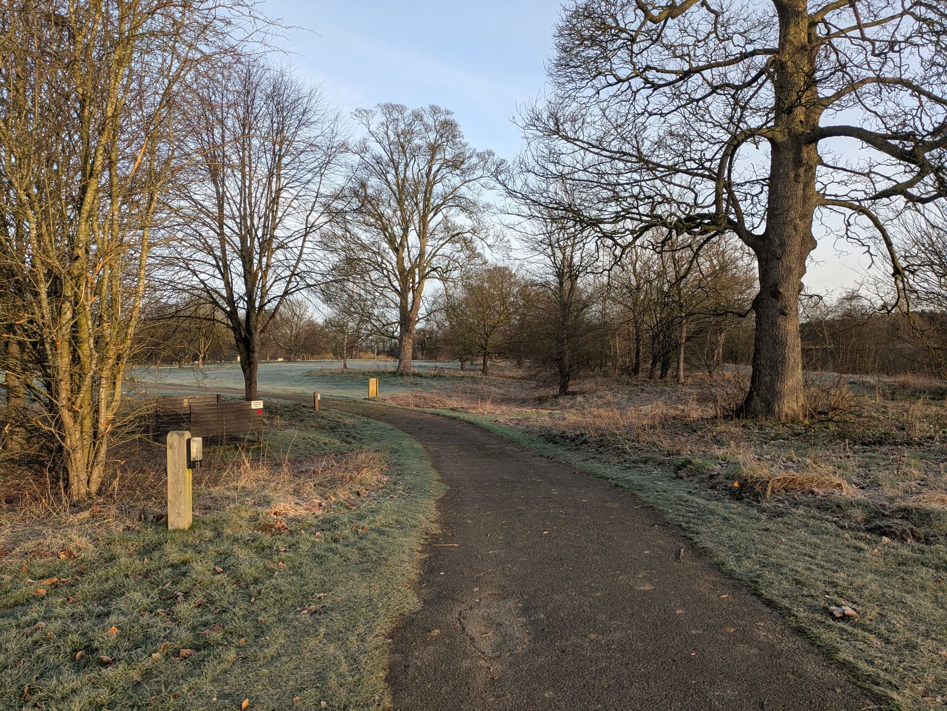 Gravel path through a park with bare trees, frost on grass, and a dim, sunny sky.