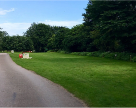 Grassy park with sign, trees, and path. Blue sky background.