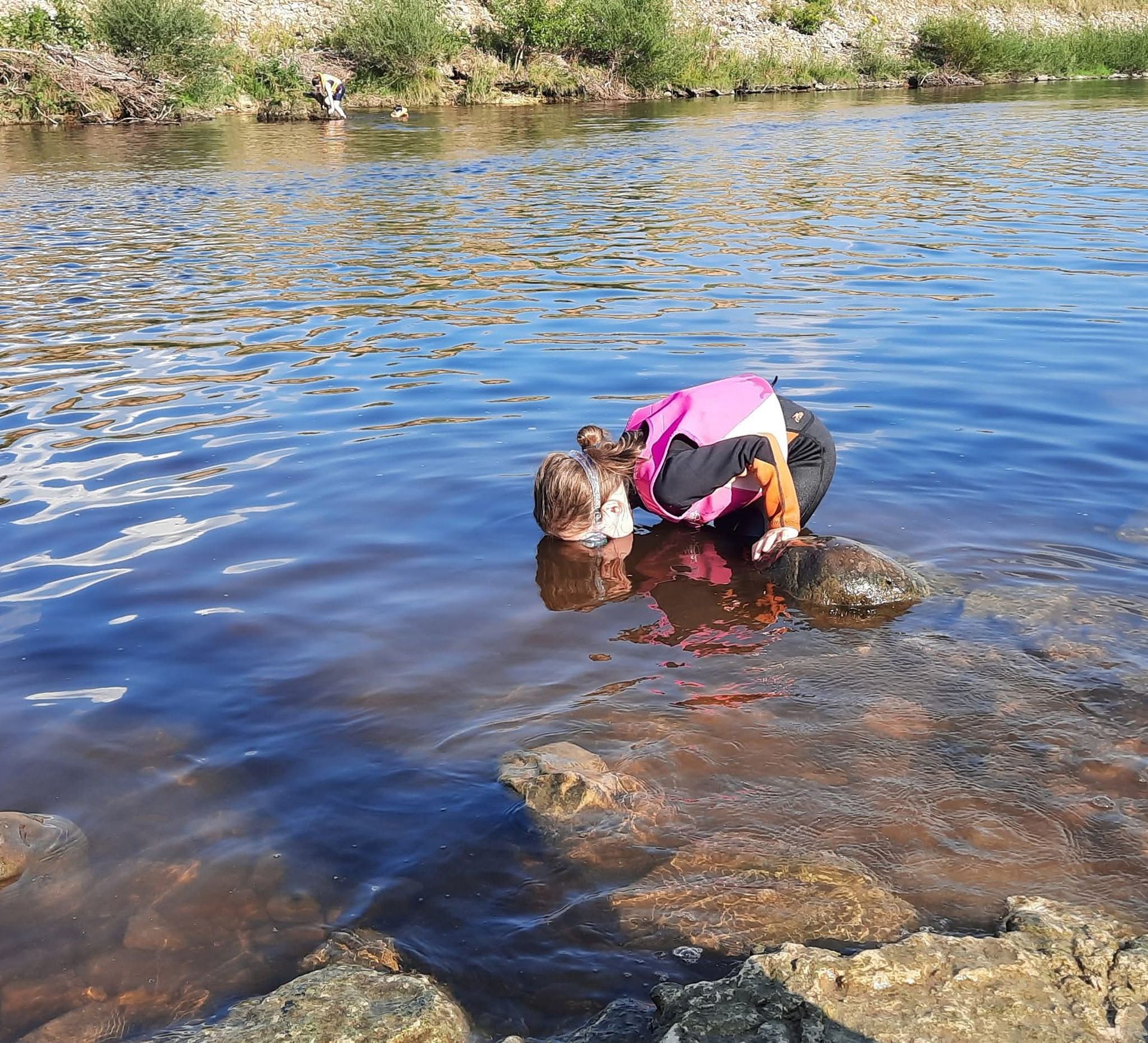 Person in pink life vest leaning over rocks in water, possibly looking. Setting is outdoors with water and greenery.