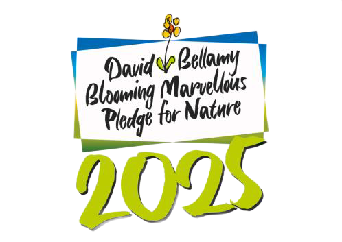 David Bellamy 
