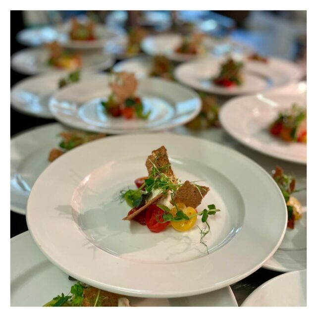 Plates of appetizers: tomatoes, greens, and crackers, prepared for an event.
