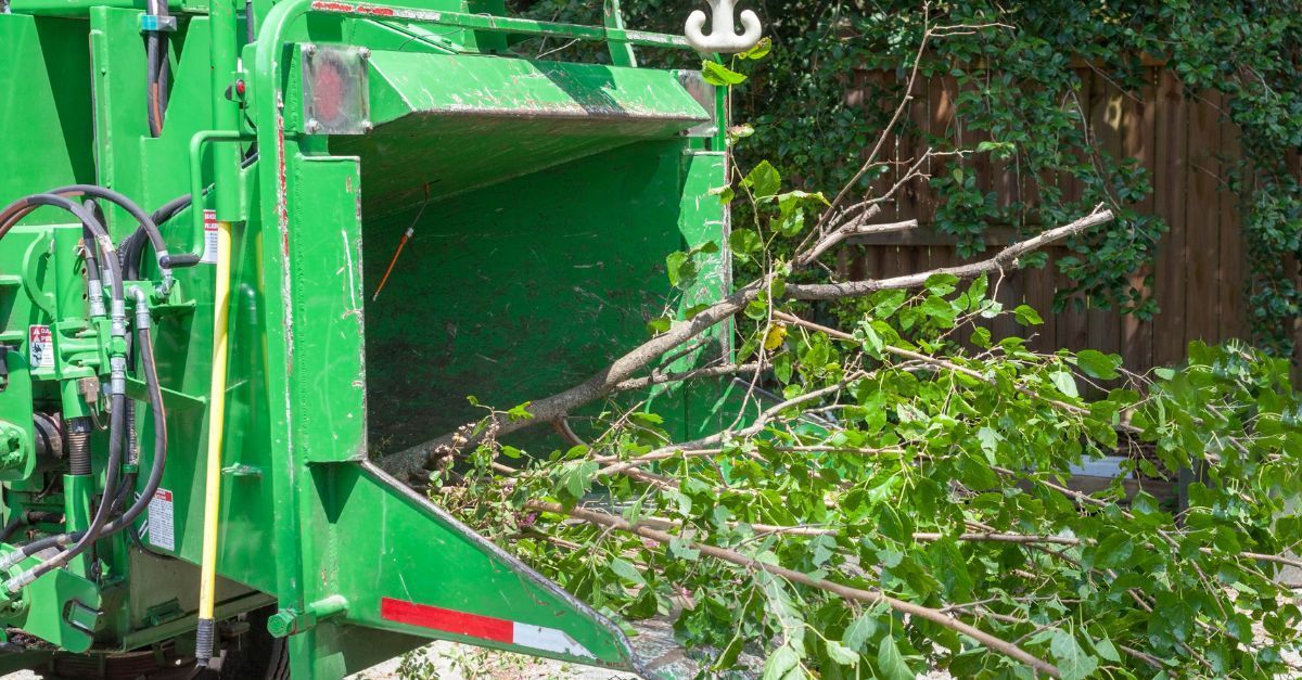 safe shredding disposal method for a tree being removed for a customer property in Acworth ga to ensure a high satisfaction.