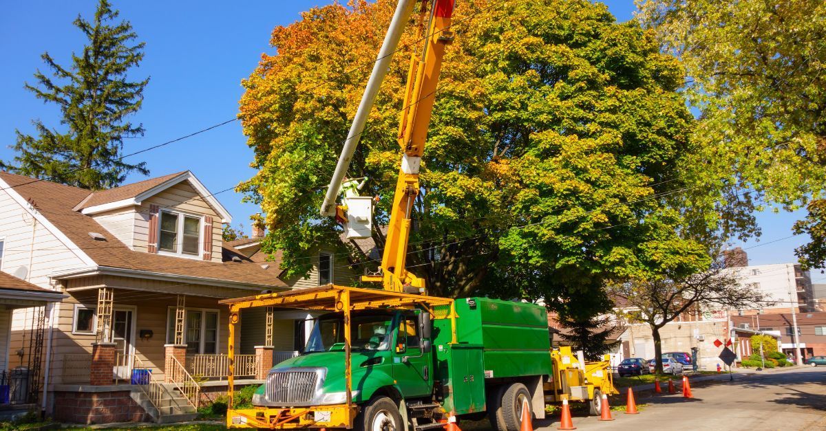 Crane parket on the stree removing a tree that has fallen on a home in a residential area.