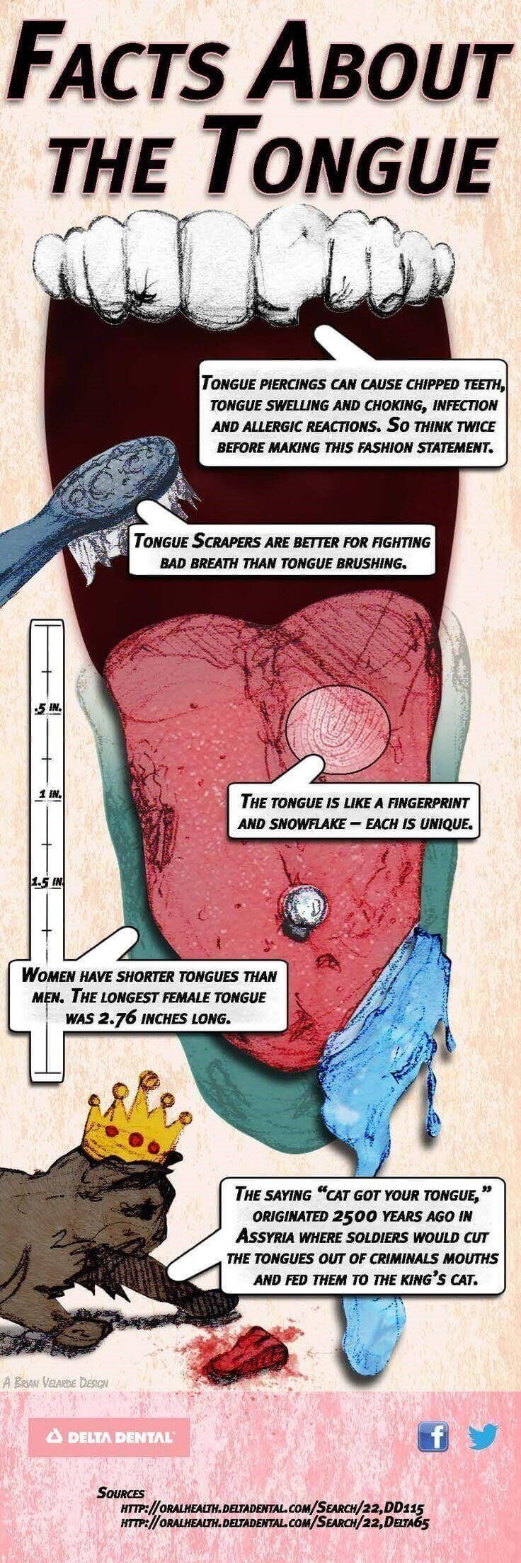 Facts About The Tongue 