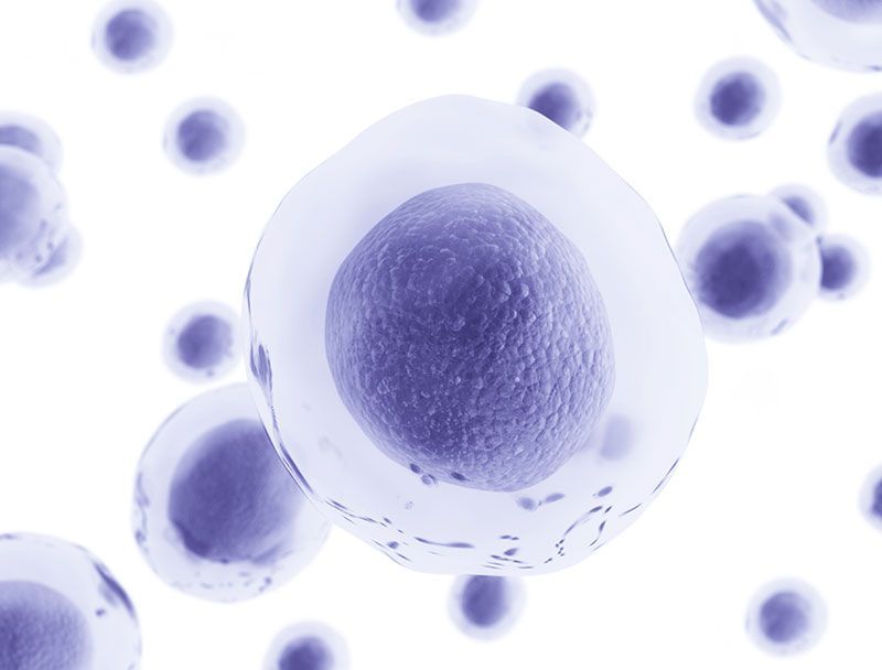 IMMUNOCAL JALISCO