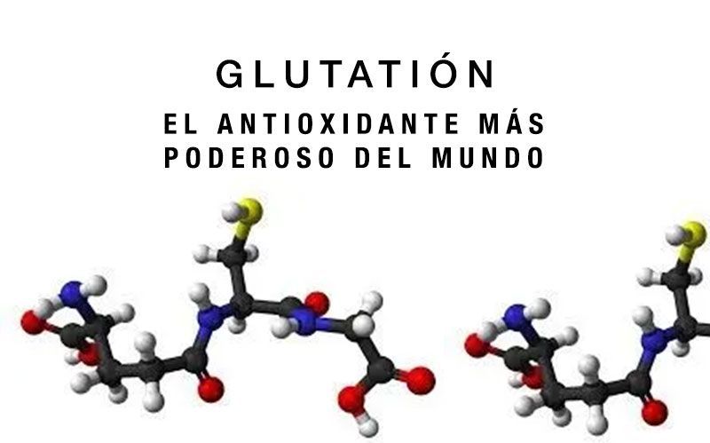 IMMUNOCAL JALISCO