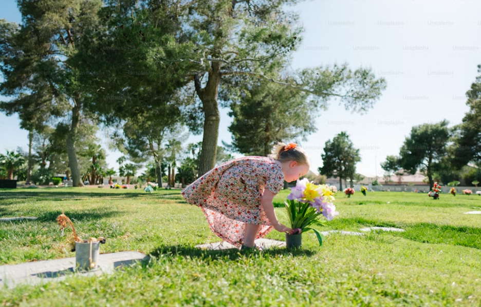 Rockville, MD pet cremation