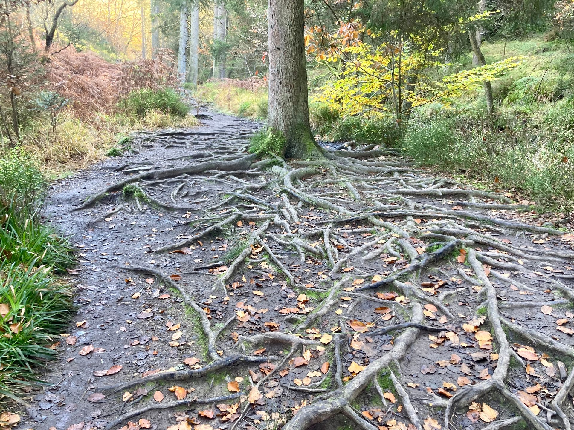 Je kunt altijd terugvallen op jouw eigen plek.