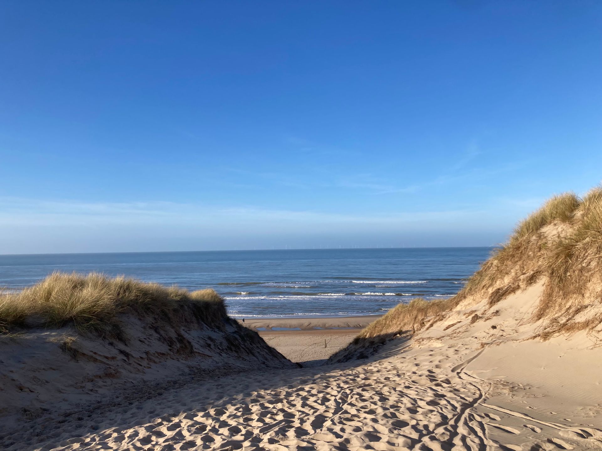 Van overleven naar leven heeft alles te maken met vertrouwen