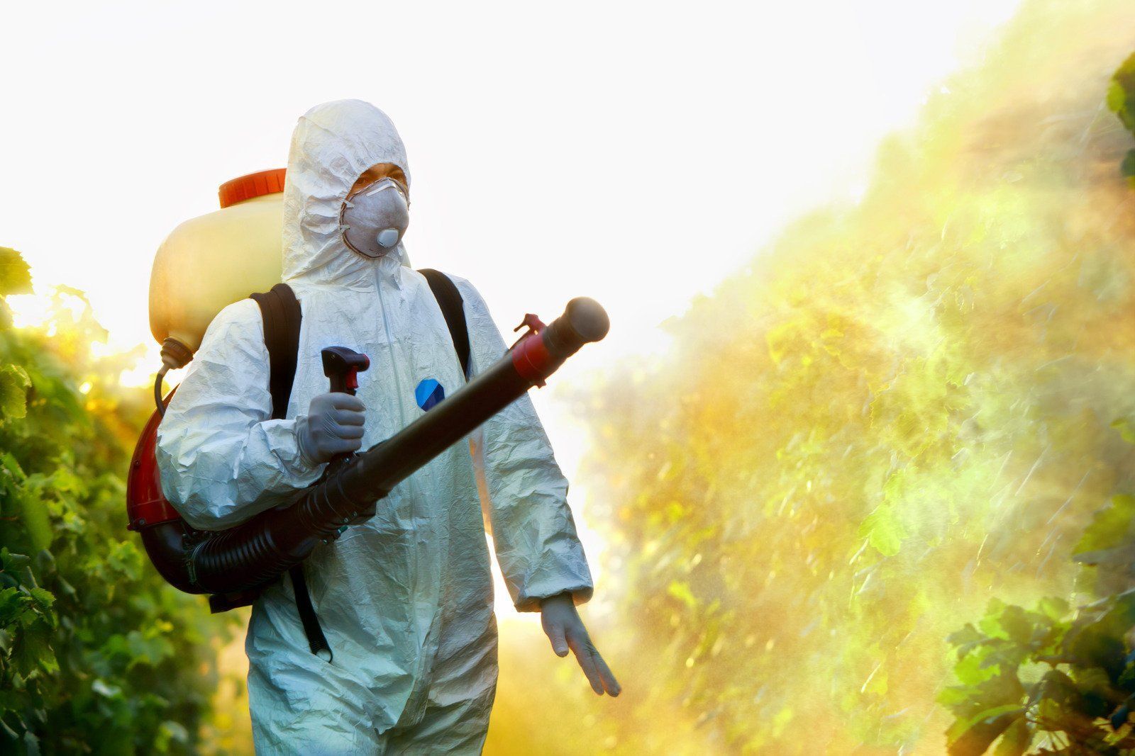 Person in protective suit spraying chemicals on plants.