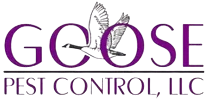 Logo for Goose Pest Control, LLC: Purple text with a flying goose illustration within the letter "O".