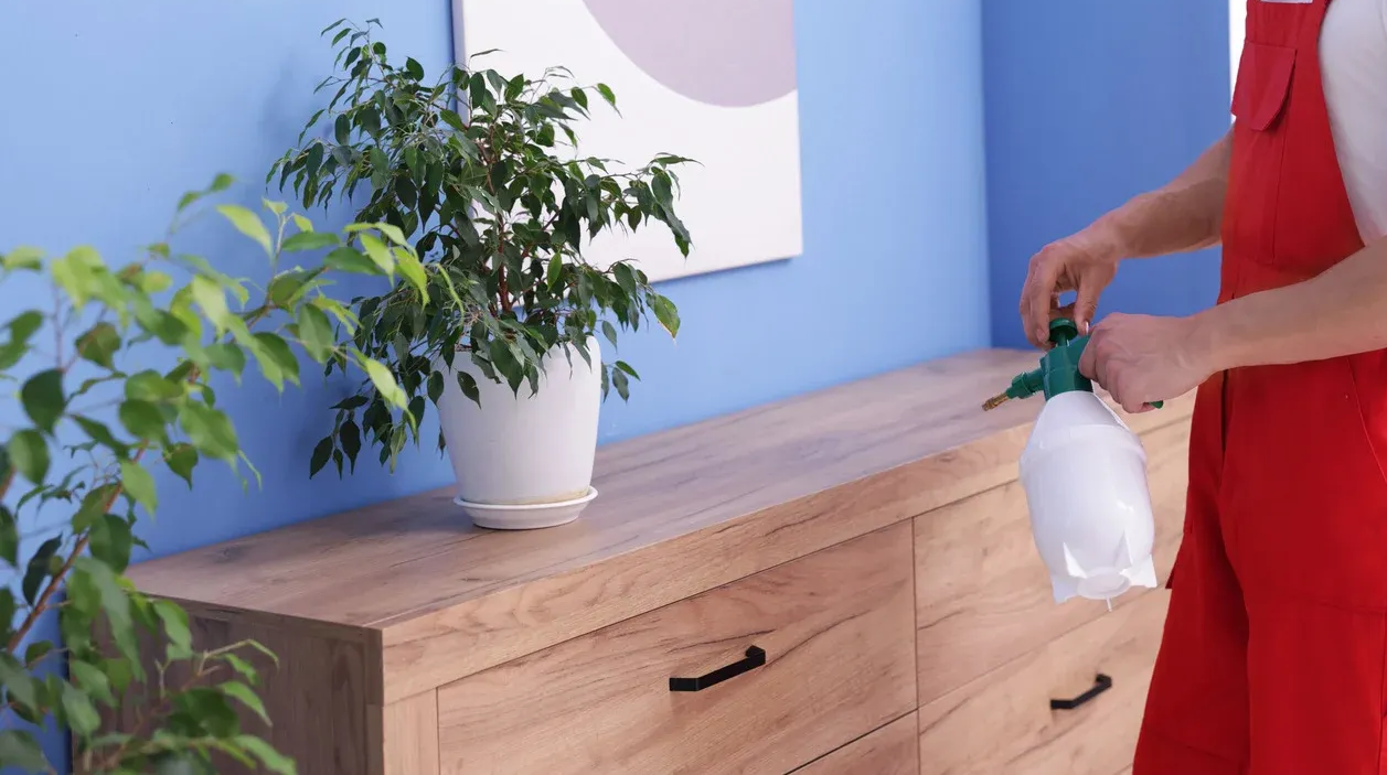 Person in protective suit spraying a yellow mist in a vineyard.