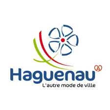 haguenau, handicap, inclusion, baskin