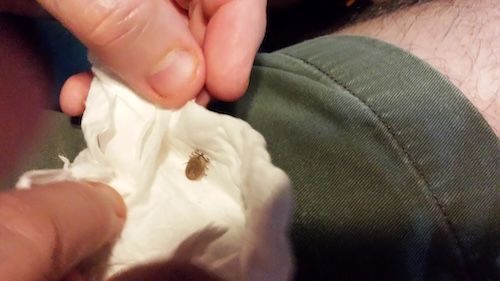 tick extermination services in piney point md