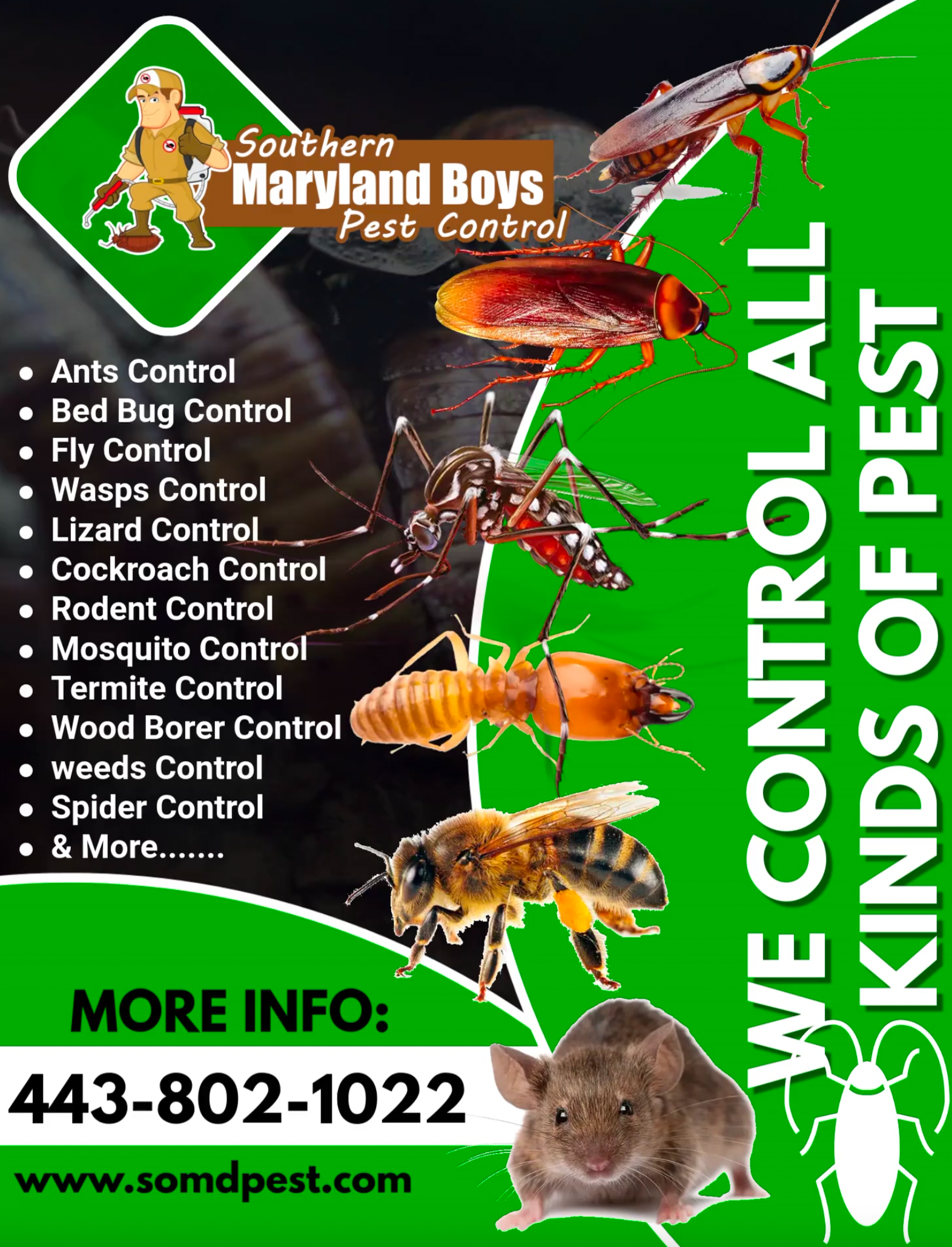 Spring Pest Control Southern MD: Don't Wait for Infestation!