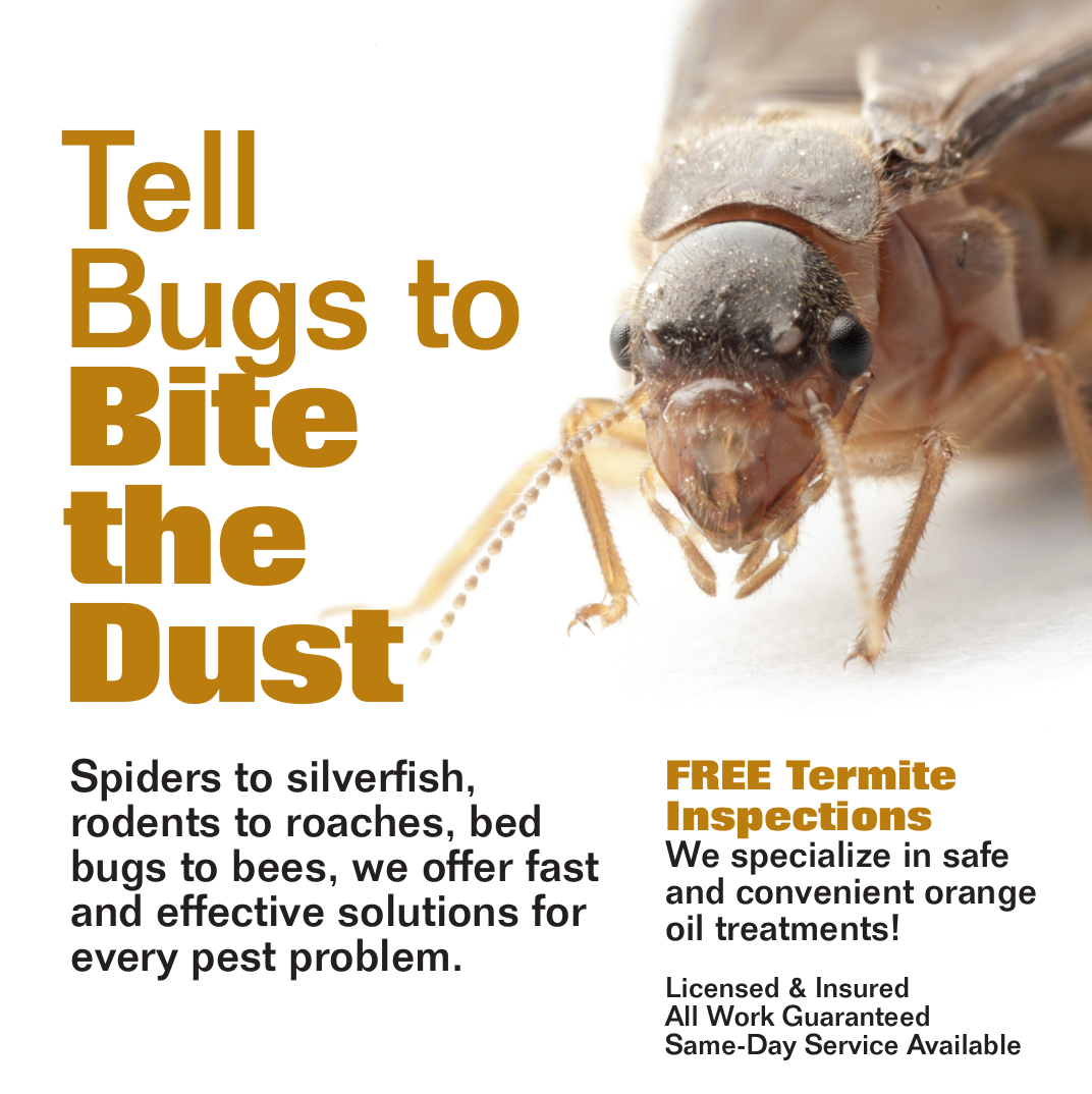 termite inspection and other exterminating services