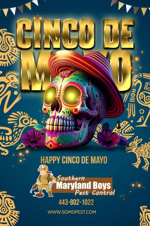 Cinco de Mayo Pest Control: Enjoy a Pest-Free Fiesta in Newburg & Southern MD