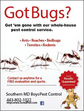 pest control