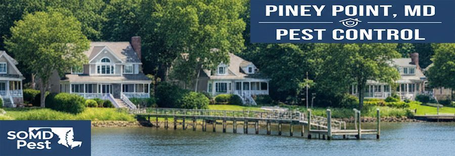 Piney point residential extermination services