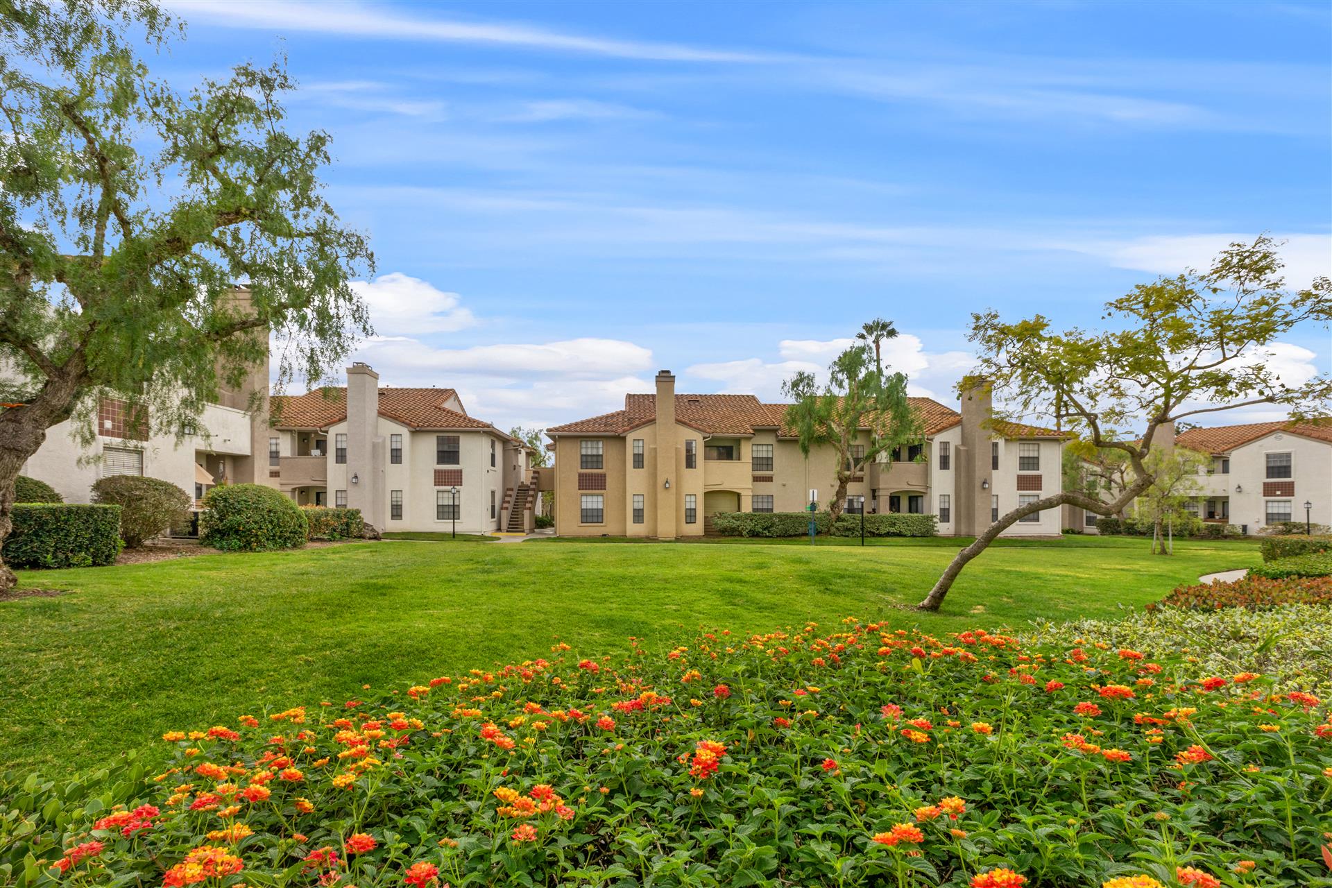 flower fields and Laguna Serrano building