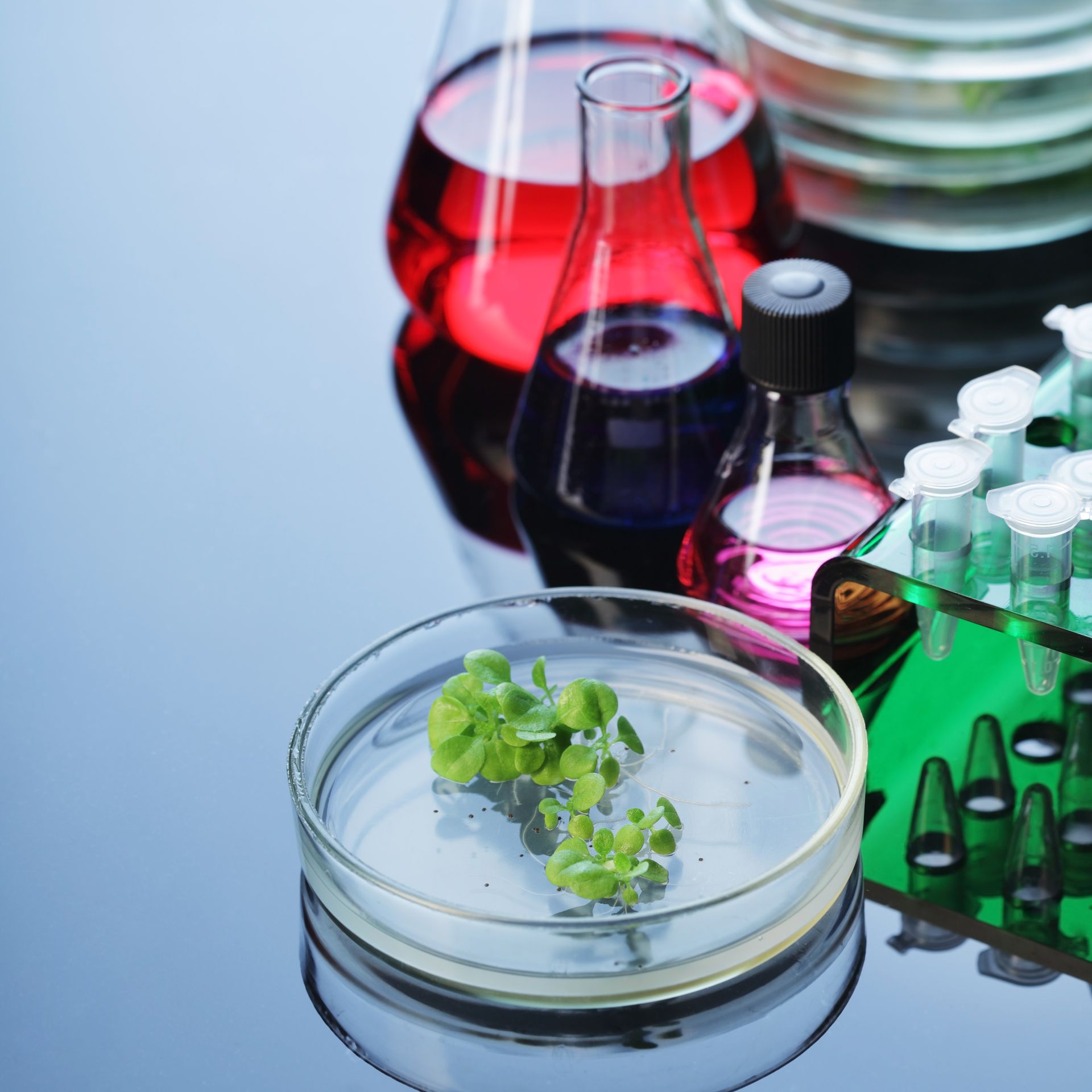 A group of people are looking at a computer screen in an office.