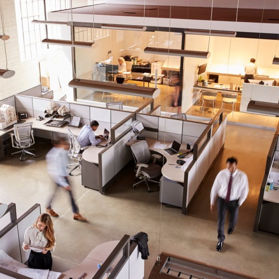 A group of people are walking through an office with cubicles