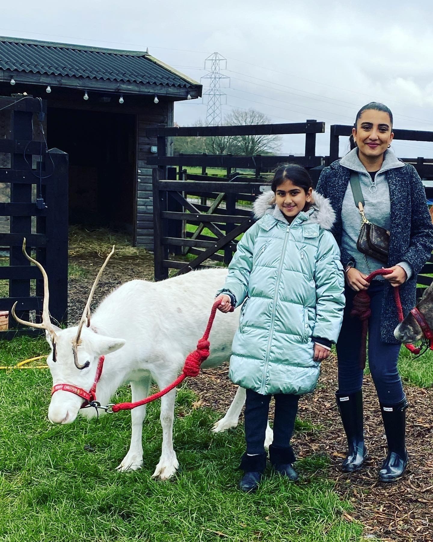 A woman and a little girl are standing next to a white reindeer.