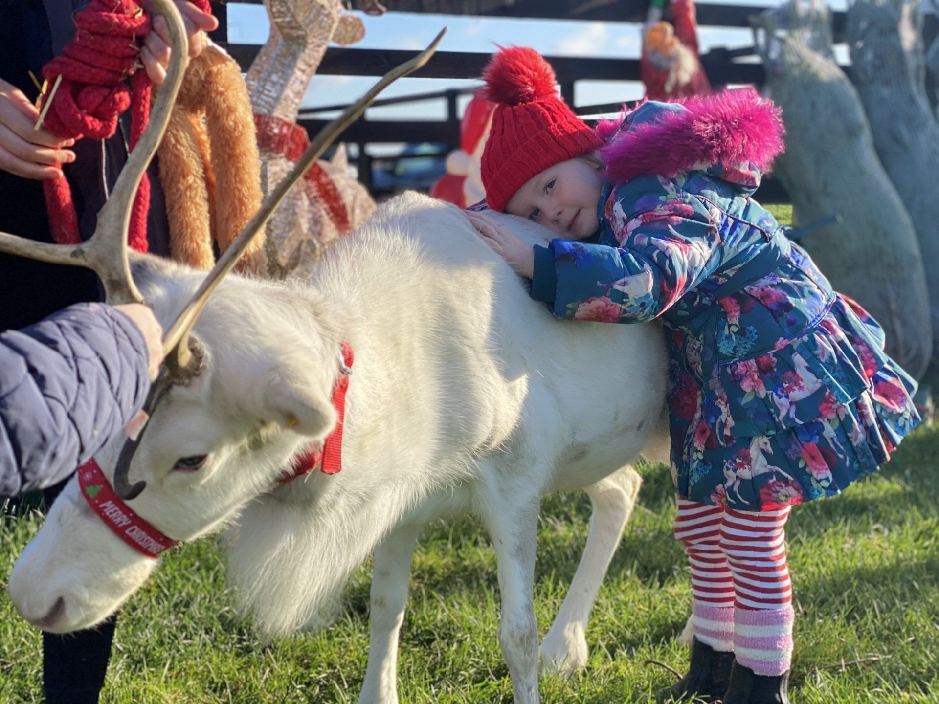 A little girl is hugging a reindeer in a field.