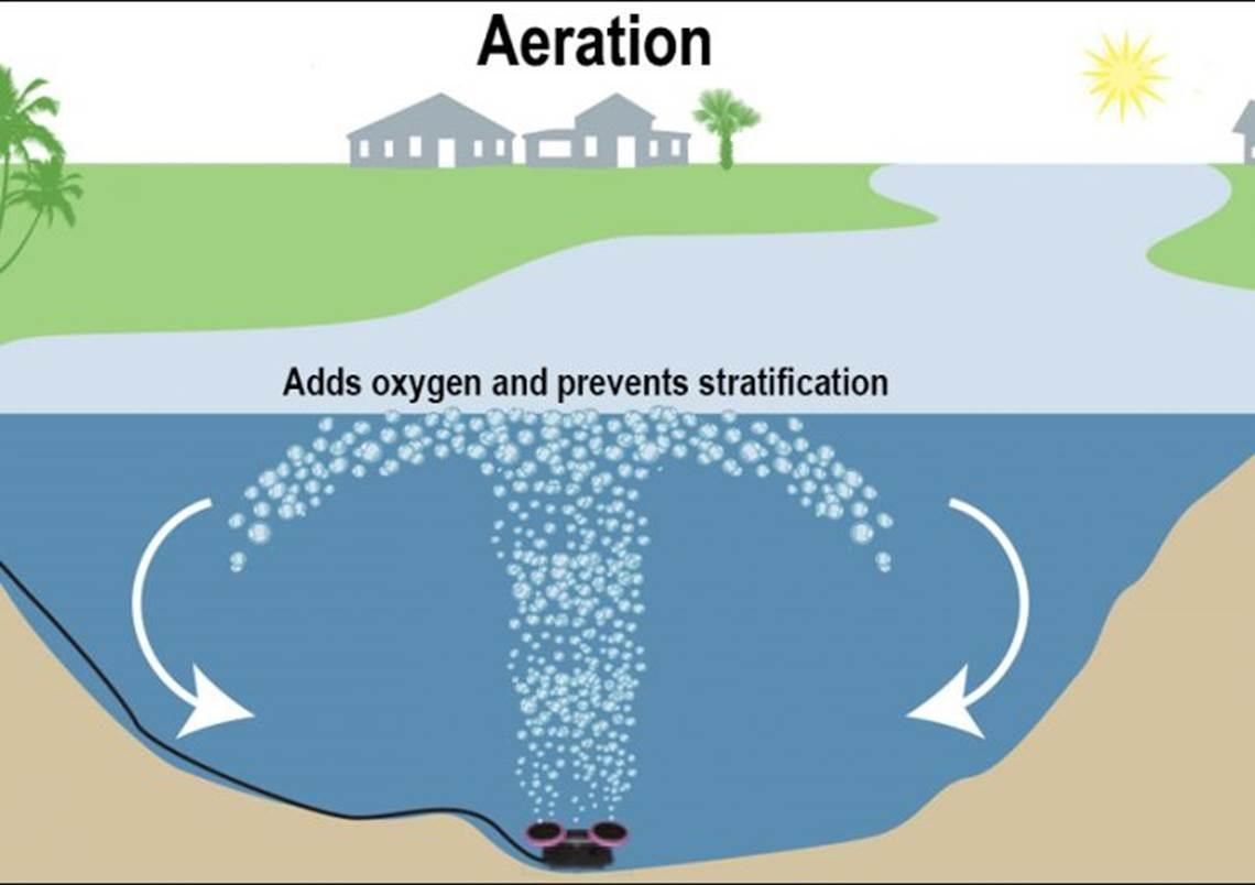 Two side-by-side images of a pond. One has leaves floating, the other reflects a cloudy sky. Trees and grass surround the pond.