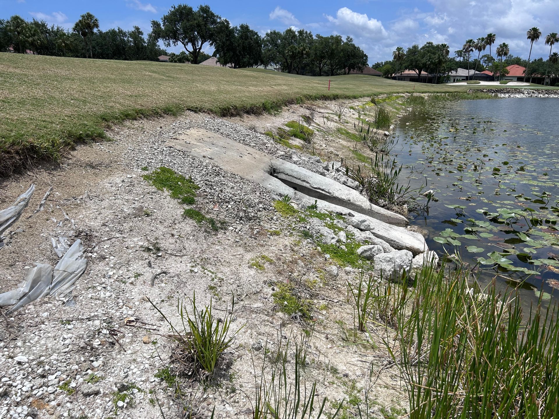 Grassy shoreline with a concrete drainage system leading to a lake, with visible erosion and sparse vegetation.