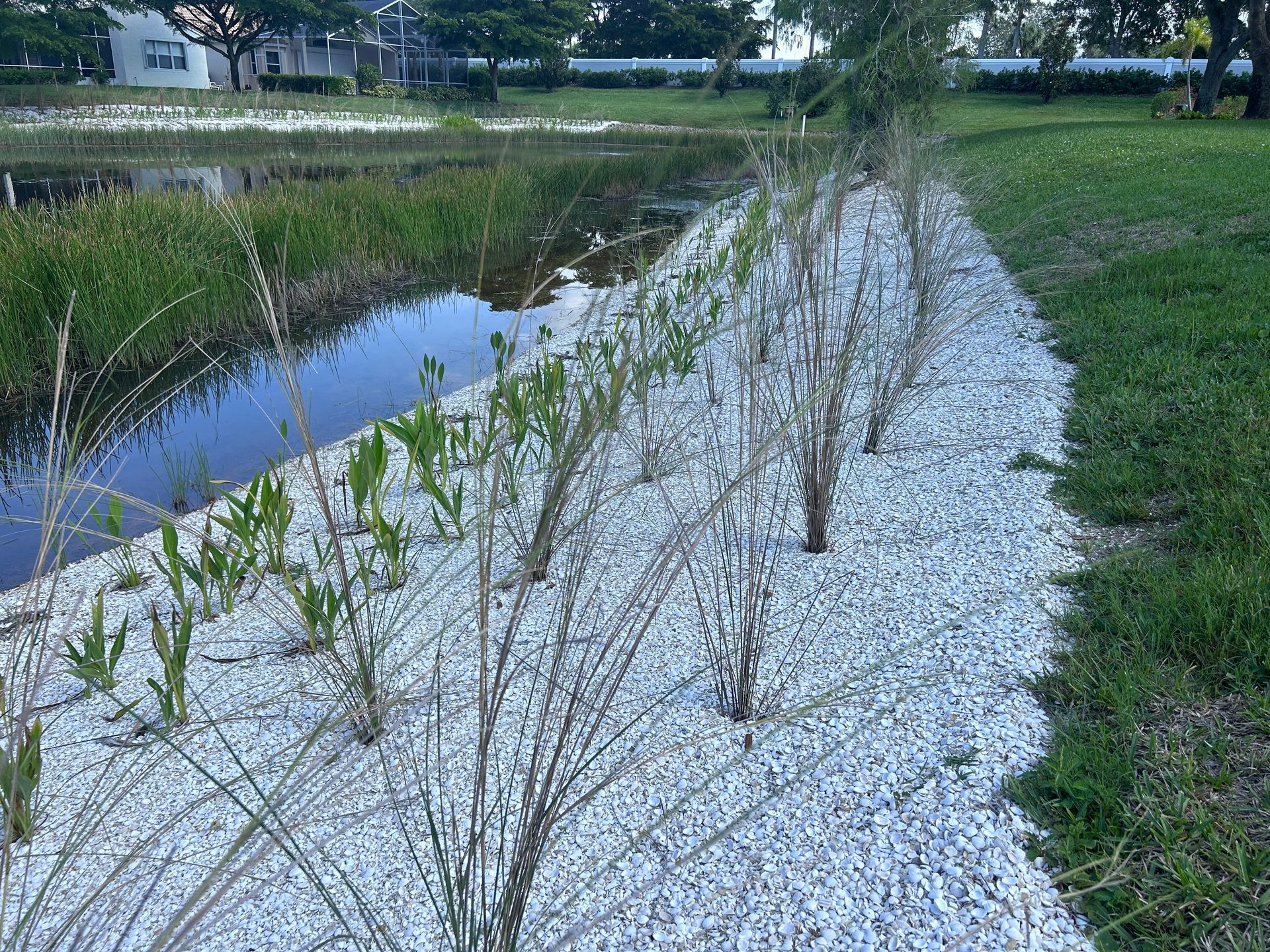Cascades Estero Lake 8 Erosion Repair