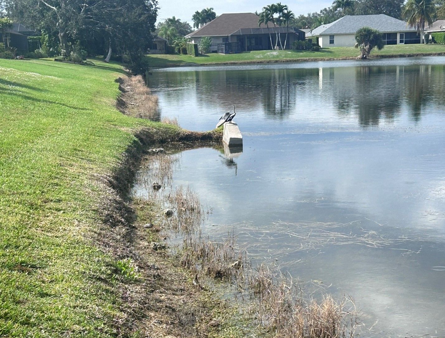 Dangers of Lake and Pond Erosion