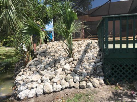 Tall Pines Restoration Naples